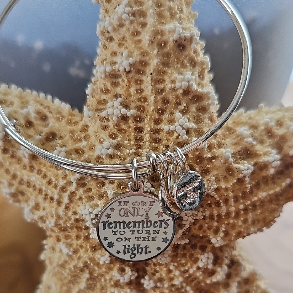 Alex And Ani Harry Potter Silver Charm Bracelet with Inspirational Quote - Picture 3 of 4